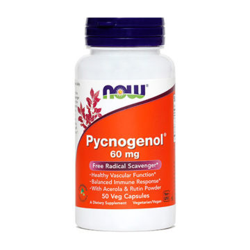 Now Pycnogenol 60 mg kapsule, 50 kapsul