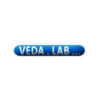 Vedalab - logo